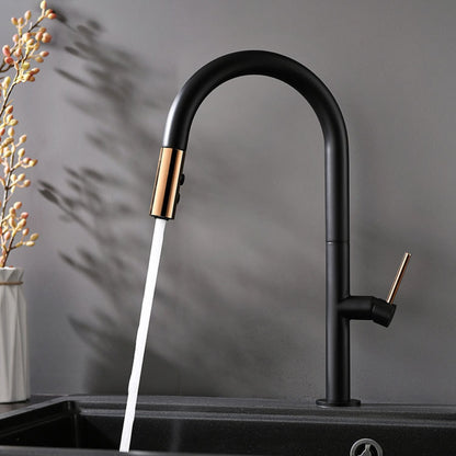 Luxury Flexible Stainless Steel Black Gold Kitchen Faucet GB3041